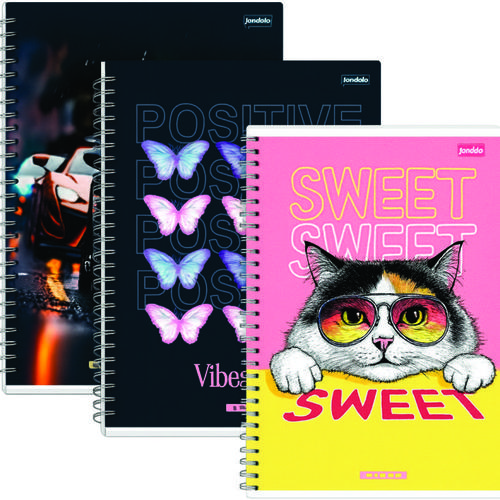 CADERNO BROCHURAO C.D 80FLS C/5