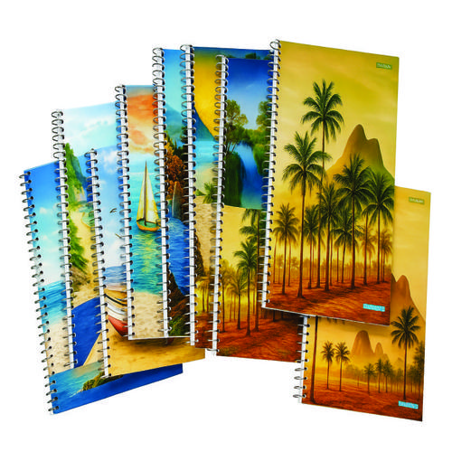 CADERNO 1/4 ESPIRAL FLEX 3B 40FLS C/10